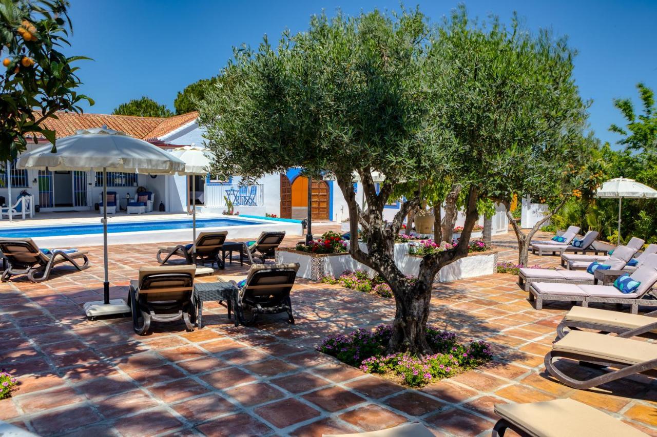 The Palms Boutique Resort Malaga - Adults Only Alhaurín de la Torre Dış mekan fotoğraf